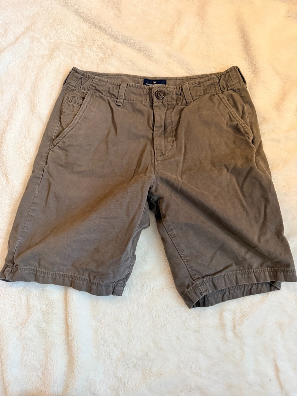 American Eagle Outfitters Brown Men's Chino Shorts